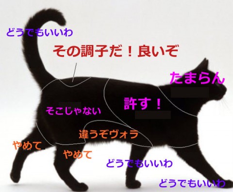 jje7t5mkccjn9xerhujz_480_480-ad1af9f0.jpg