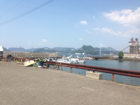 jjgv3pn6d58xyxjsx8y8_480_480-197f2780.jpg