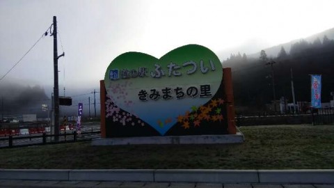 jjgytohdkdvbhfkm5eu7_480_480-d845bb3d.jpg