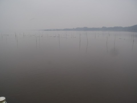 jjhdxxi4ejya8vu935zv_480_480-a2ab787c.jpg