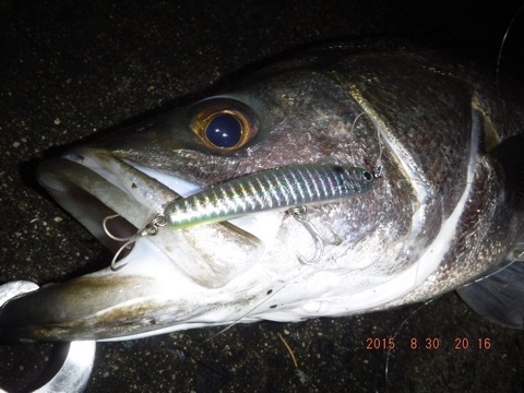 jjiys29vsk5w5is227co-41a3d67c.jpg