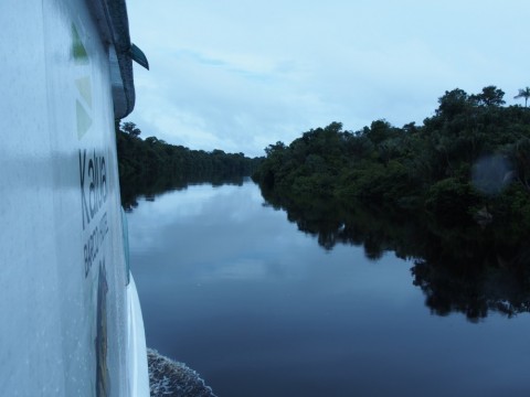 jjnu3x68guiajaog9vii_480_480-52f81c06.jpg