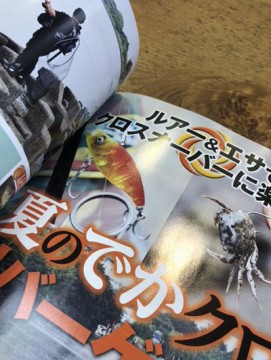 jjsf34tgpkion92kne8b_361_480-94b62336.jpg