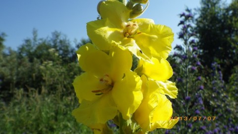 jjuh2kgy72g9fhisfsi2_480_480-fb70a2d5.jpg