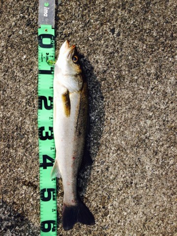 jjvexaihsbch6bjgfsib_690_920-3397b674.jpg