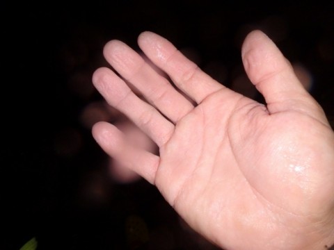 jk3cprjy6oxxme3ghxpw_480_480-7a170979.jpg