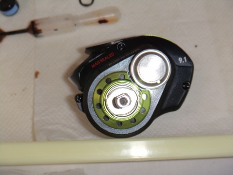 jkbpiptrv44ske64j39s_480_480-f908a41f.jpg