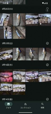 jkbyj49izze4s2r4fvse_480_480-ddb41f24.jpg