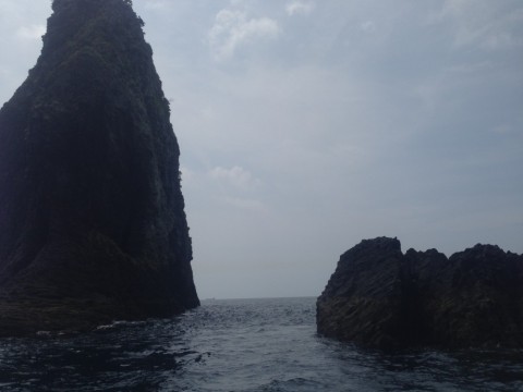 jkbyx9u7s5bvaovzt52f_480_480-19e4e7e9.jpg