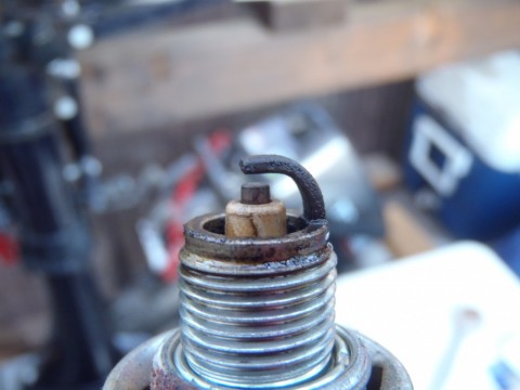 jkdxiwkfuppg967yxsk9_480_480-126a1110.jpg