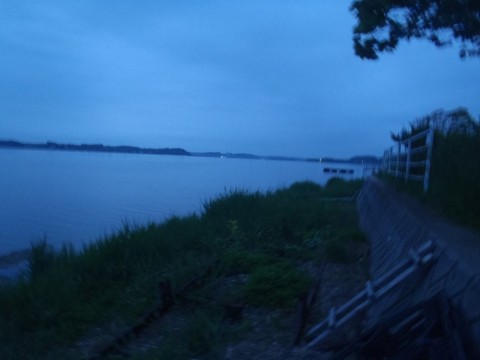 jkifi6vkm7gwucg9fs4h_480_480-dfef9982.jpg