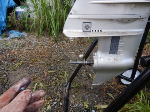 jkwfbdegry6nxf3xfmpw_480_480-646cec66.jpg