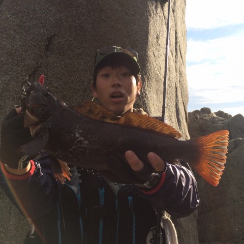 jm3seruk5rbmg27caswj_920_920-e5791867.jpg