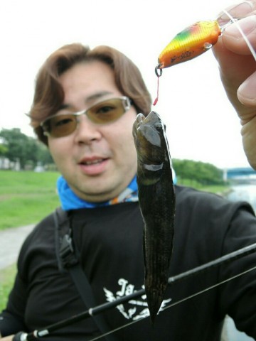 jm5tkkzw2a6kzdy3urxb_690_920-21d3480b.jpg