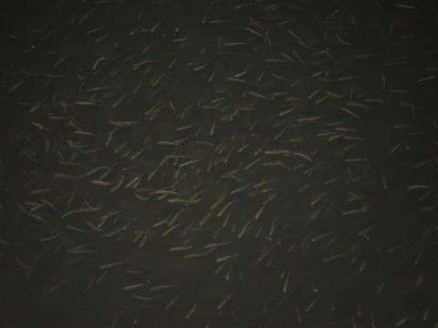 jmbdr44c3fi53n4mt953_920_690-6282ebcb.jpg