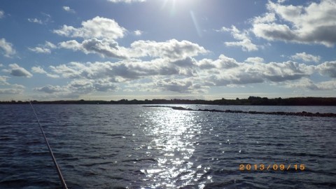jmcywr72vvptc5wkzagd_480_480-7f937237.jpg