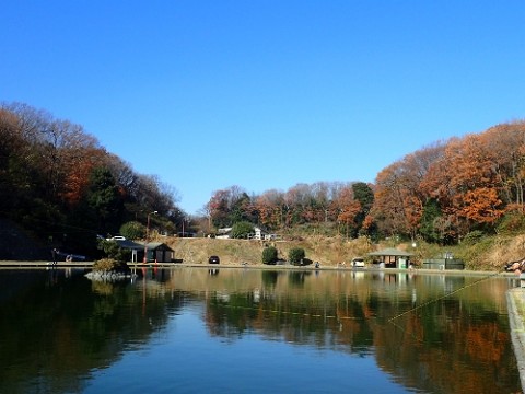 jmdonuzdd65eg76hoxdm_480_480-ad2898a1.jpg
