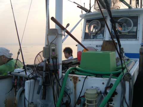 jmjwxg746mw8ou985ii9_480_480-d492cd70.jpg