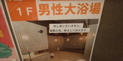 jmsf5ovry2d45amk4ygi_480_480-a5f99915.jpg