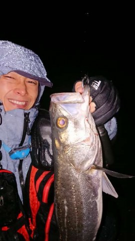 jmsnvhgaoiji7rz7sc8y_480_480-9b50592a.jpg