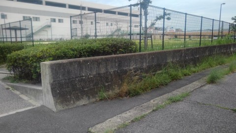jmwz7mdcxxjene8z5acf_480_480-167cc57d.jpg