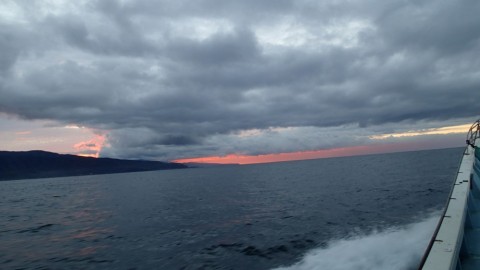 jn6oootjvyckmkowypgt_480_480-7a389763.jpg