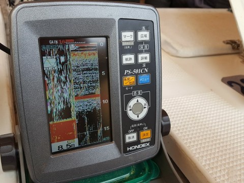 jndfcpexjbi6u7gmszb6_480_480-09e1d395.jpg