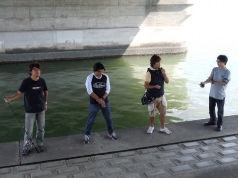 jnfcvif4z4x2k3oj5ped_480_480-c04b49cc.jpg
