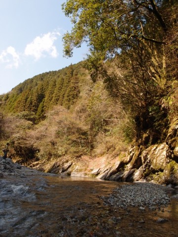 jnmccnsxssy8p46jyx8d_480_480-d40bc9ec.jpg