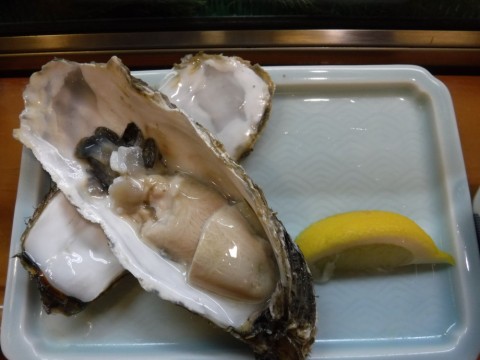 jnrkye7bj7yu78fa5brp_480_480-b7559929.jpg