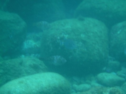 jnu2gfbk23cnce4u3j5j_920_690-d9d74707.jpg