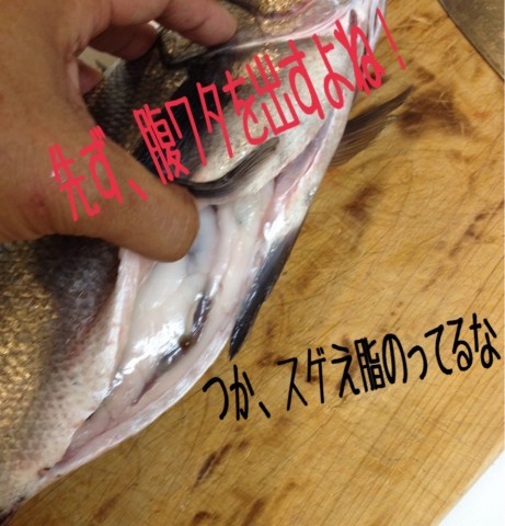jnvrs5owoci5pvtbguyo_883_920-cb9aa45b.jpg