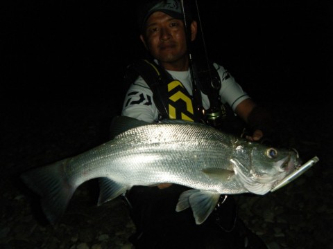 jny75y33bvr7gyk4tu6g_480_480-55ac3256.jpg