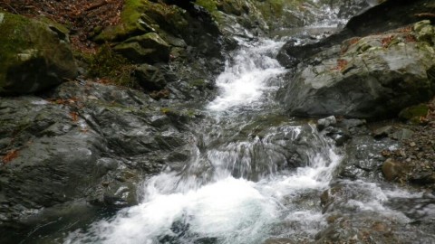 jo7i8796w37tiyvgjynh_920_518-c12225b9.jpg