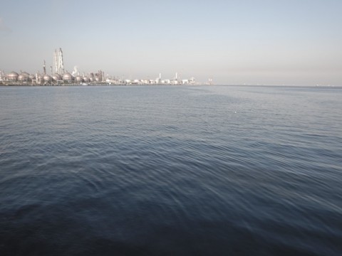 jo9ddnd4y6cxg7ey5ssa_480_480-20c4c616.jpg