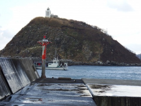 joiwic39i5tiby8x58na_480_480-7a0c049f.jpg