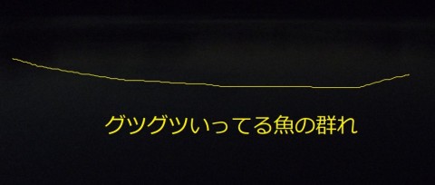 jojursgdgf6zy5edx4eh_480_480-8a56f36f.jpg