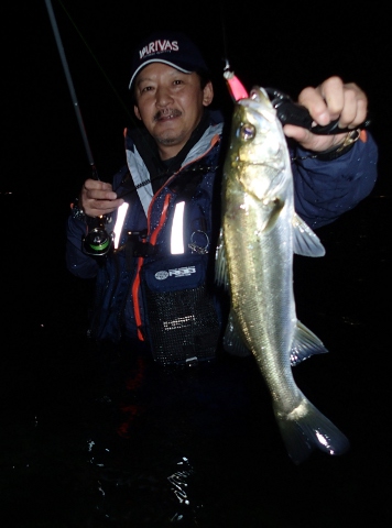 jope93i2m7bevkg5gnrd-909d716a.jpg