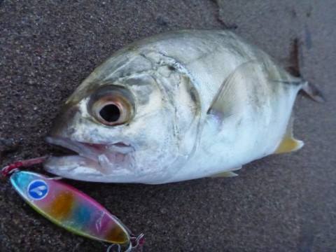 joxvorw52yocao8ujifj_480_480-929a68e6.jpg
