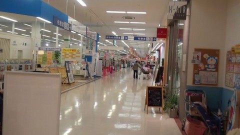 jp6kgvik6muimxi5zys9_480_480-3b16e11b.jpg