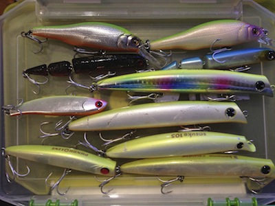 jp82i5s9j4vrimft9kyx-f801a35c.jpg