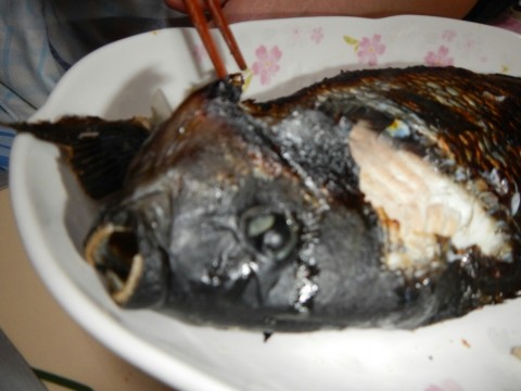 jp94wdyf5sfxxv5hveon_480_480-7bb12eec.jpg
