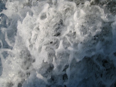 jpgsaaehey5jhimxgn29_480_480-1c0e7ddc.jpg