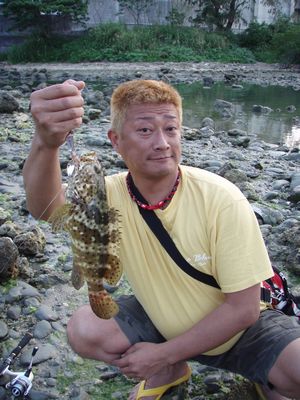 jpn89ywm2bpgkk63h7ti-8e5caf1d.jpg