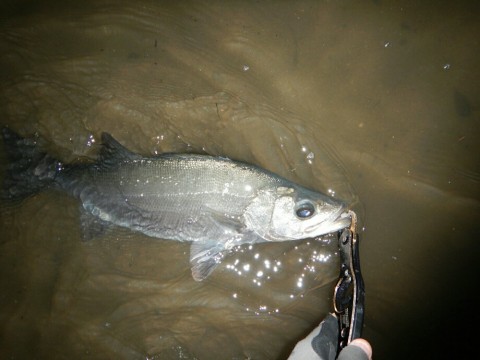 jpws369c8ddocxzmcnmj_920_690-94f20362.jpg
