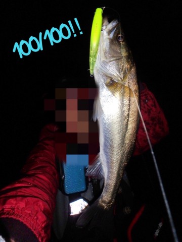 jpy9cbv3cof2wrjwpxbk_690_920-23e39503.jpg