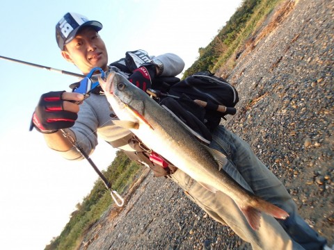 jr8zv6hod596wfxd8ifo_480_480-15939b5b.jpg