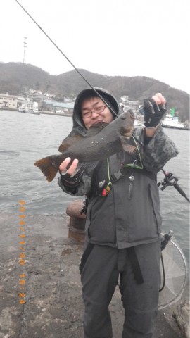 jrbay2tsjbwrfxarv4au_518_920-43b10067.jpg