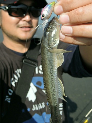 jrbrhsrdkstjbi8sx6sd_690_920-d12e11cf.jpg