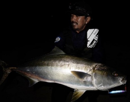 jru4ykpoo794f386ktgt_480_377-8f6aaec8.jpg